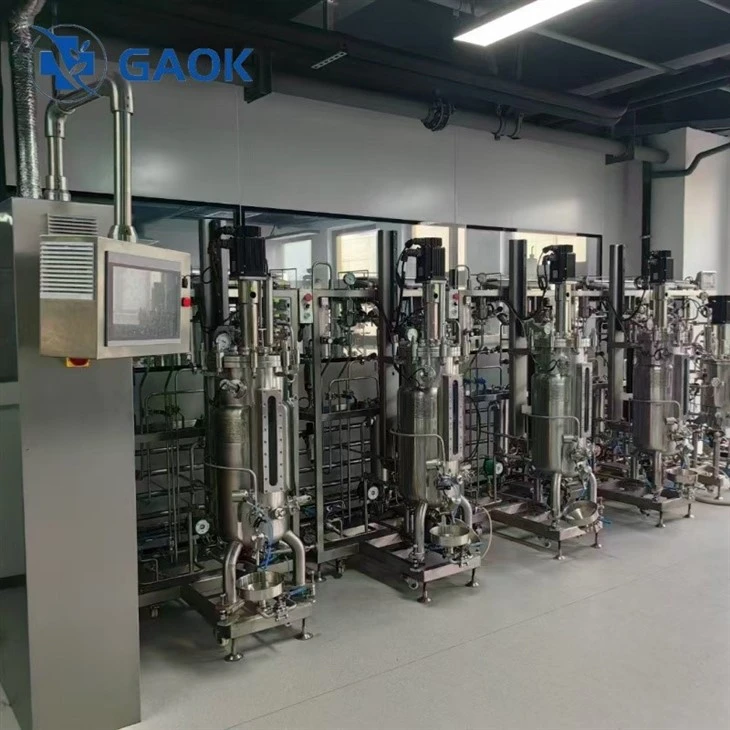 100L bioreactor